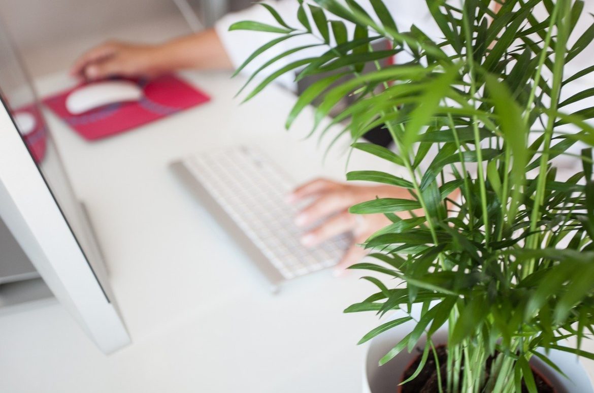 telework-5046230_1280 emprender de forma rentable