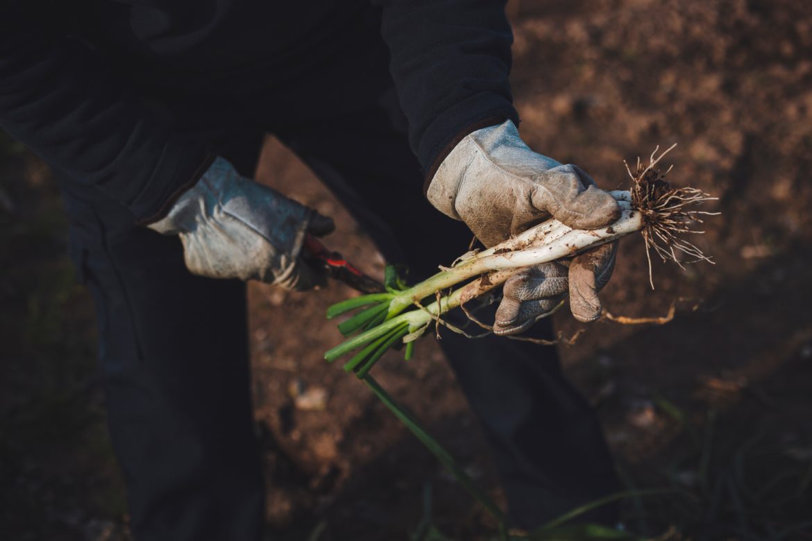 emprender en el entorno rural