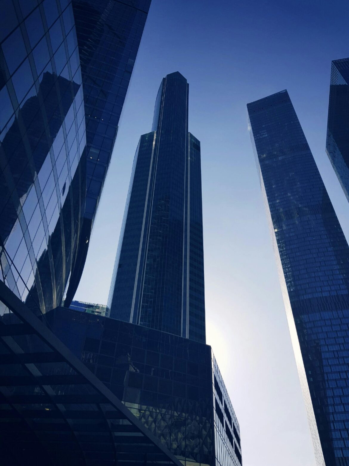 franquicias para 2024