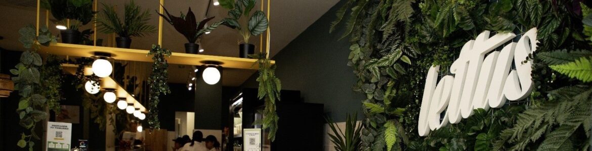 Lettus impulsa su expansión con nuevas aperturas en España