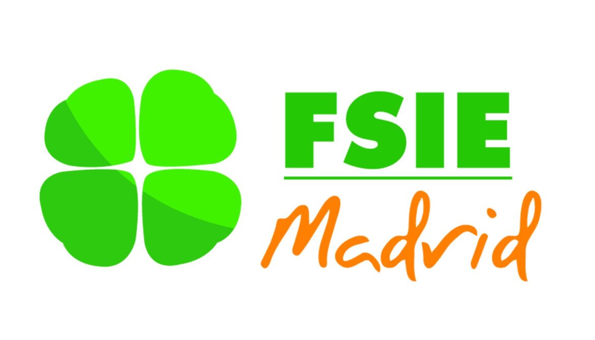 FSIE Madrid anuncia nueva concentración ante la Consejería de Educación el 29 de enero