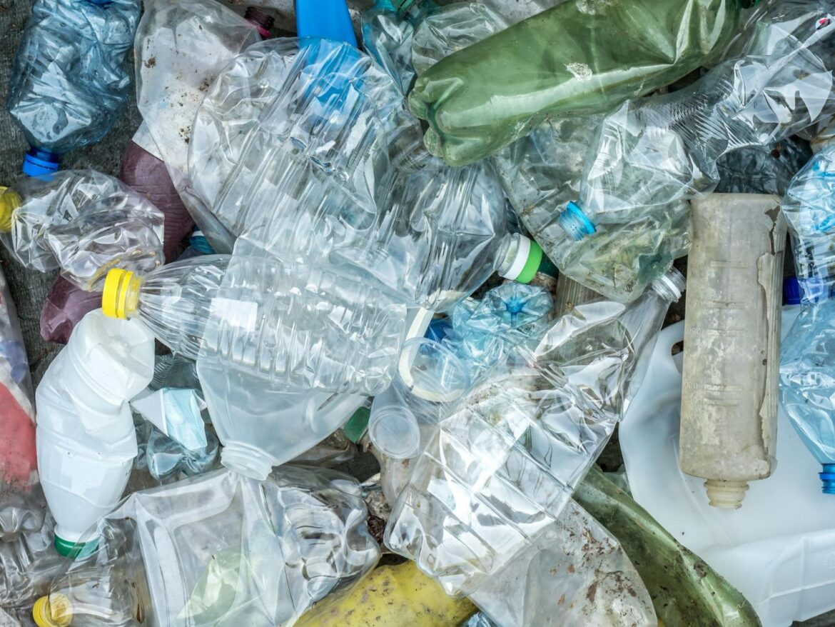 Con más de 400 millones de toneladas de plástico generadas en 2025, Roll’eat advierte de la urgencia de reducir residuos desde gestos cotidianos