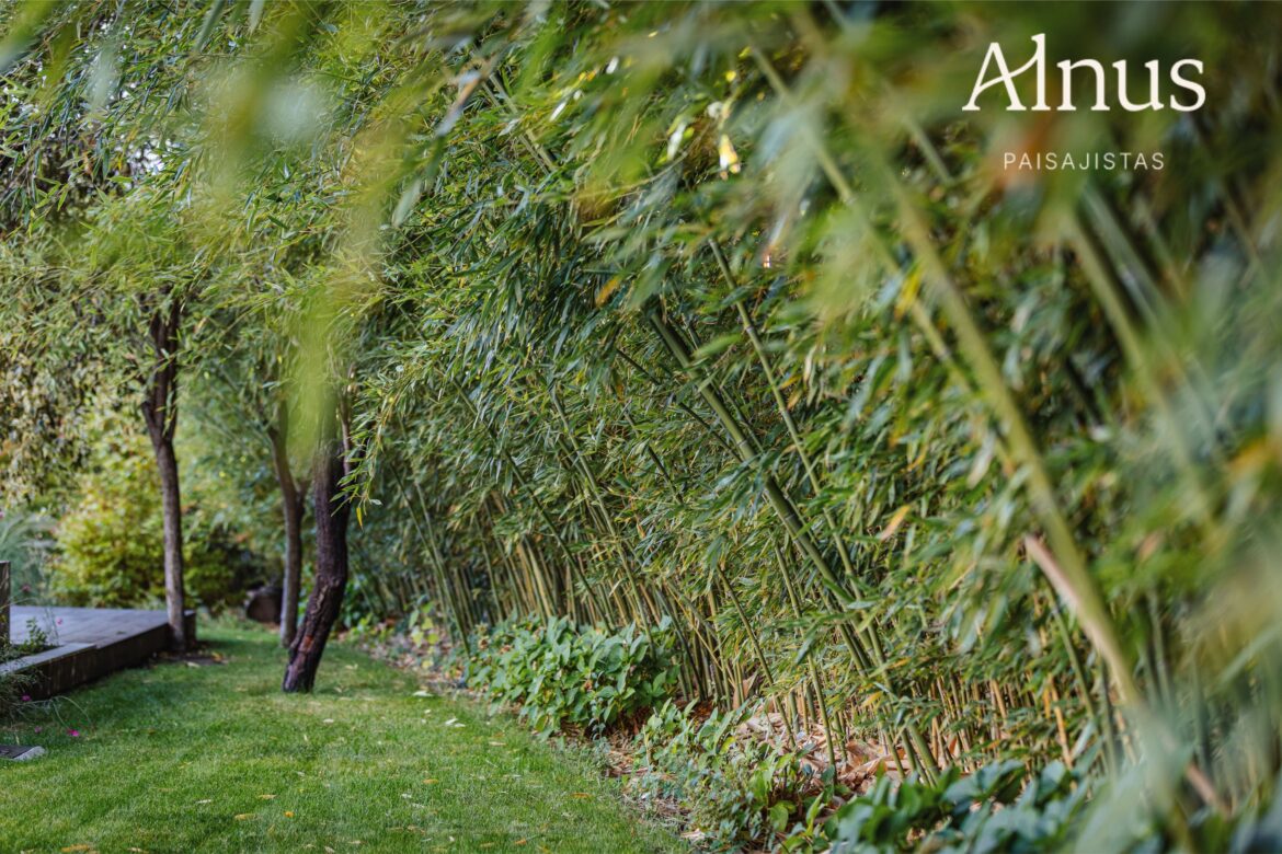 Alnus Paisajistas consolida su trayectoria como estudio de paisajismo sostenible en Madrid