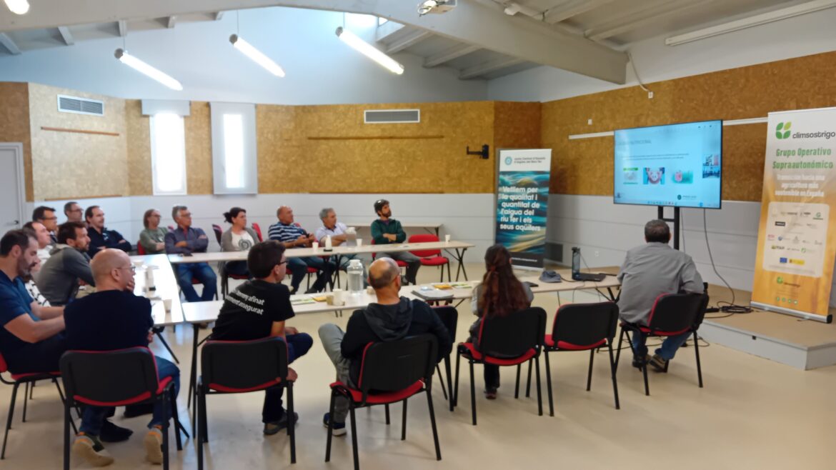 CLIMSOSTRIGO refuerza en el campo la innovación en trigo panificable frente al cambio climático