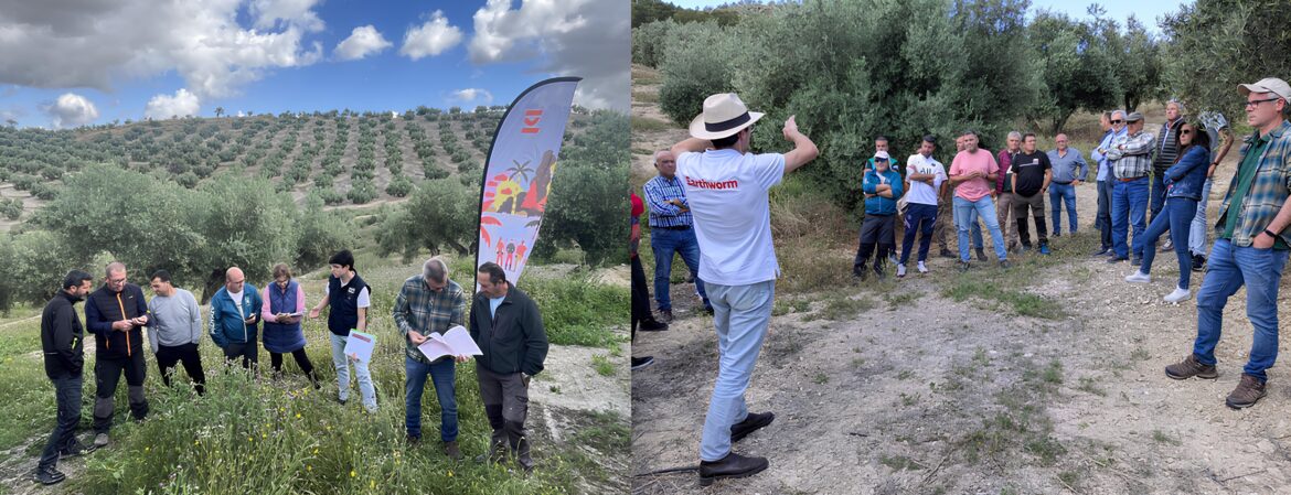 VivaOliva impulsa la agricultura regenerativa en Jaén con la formación de un centenar de agricultores