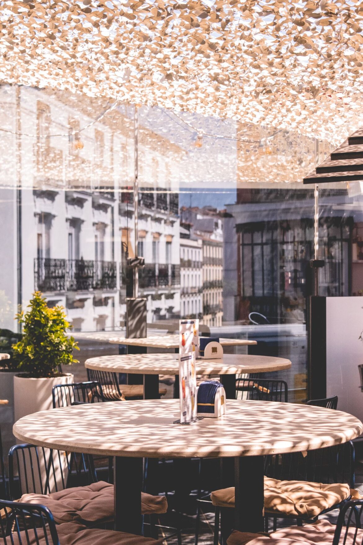 11 Nudos Terraza Nordés: la azotea atlántica para saborear el verano en Madrid