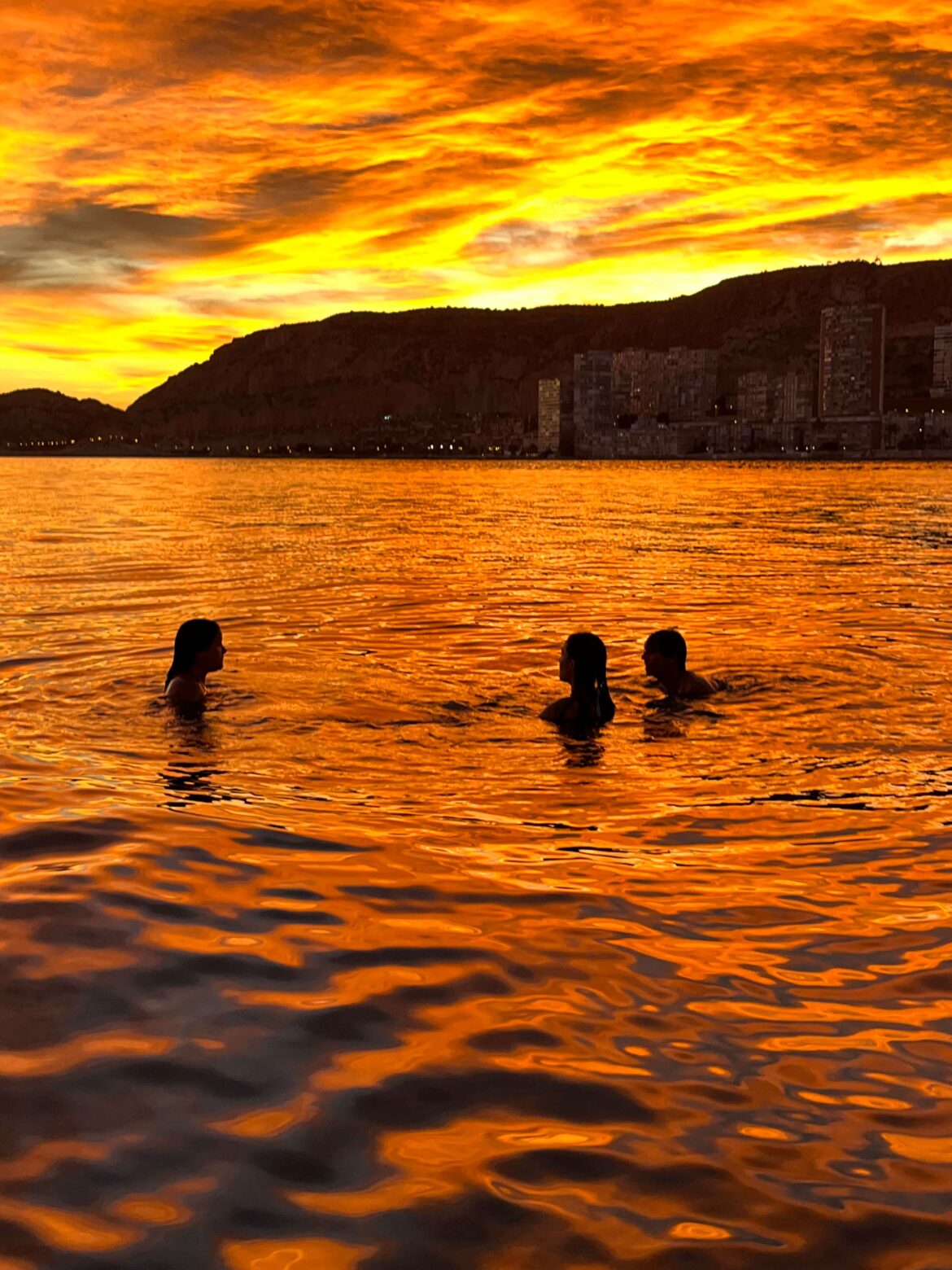 Delfinautica impulsa en Alicante una escuela náutica de formación real, seguridad y experiencias en el mar