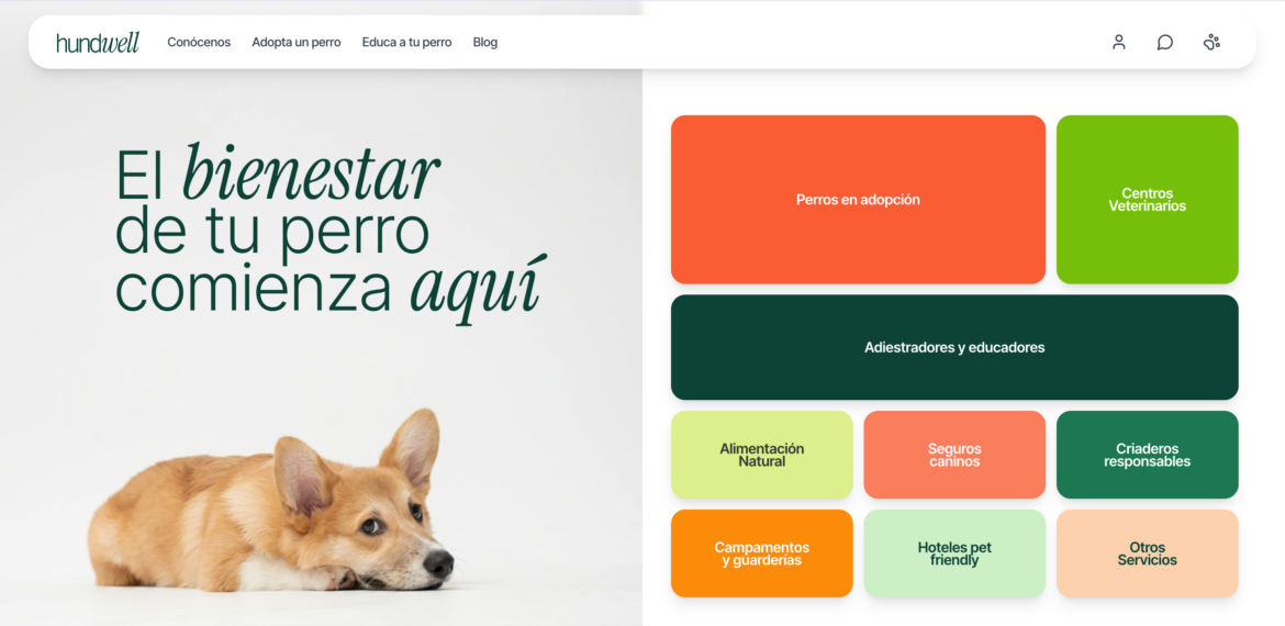 Hundwell: la plataforma de bienestar canino que busca acabar con el abandono de perros en España