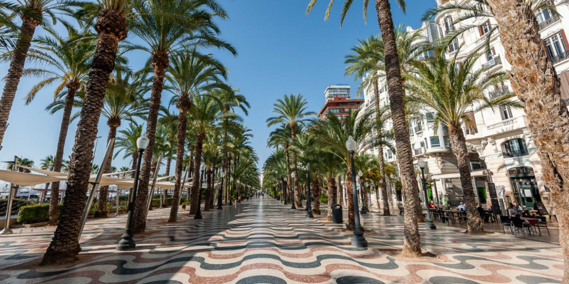 Digital Diggers abre una oficina en Alicante y lanza su sitio web en español