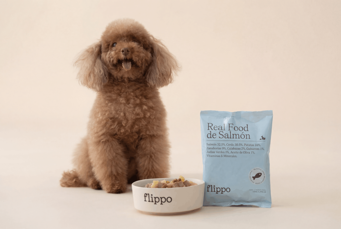 La empresa española que quiere que cada perro siga con su dueño dentro de diez años